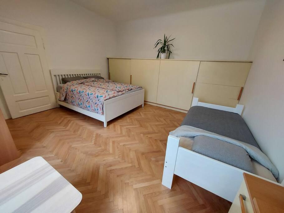 Apartment Bezigrad Ljubljana Buitenkant foto